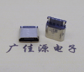 漳州焊线micro 2p母座连接器